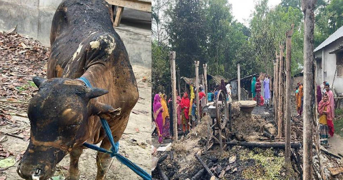 দৌলতপুরে আগুনের তাণ্ডব: পূর্ব ফিলিপনগরে পুড়ল ঘরবাড়ি-গবাদিপশু,দগ্ধ ২