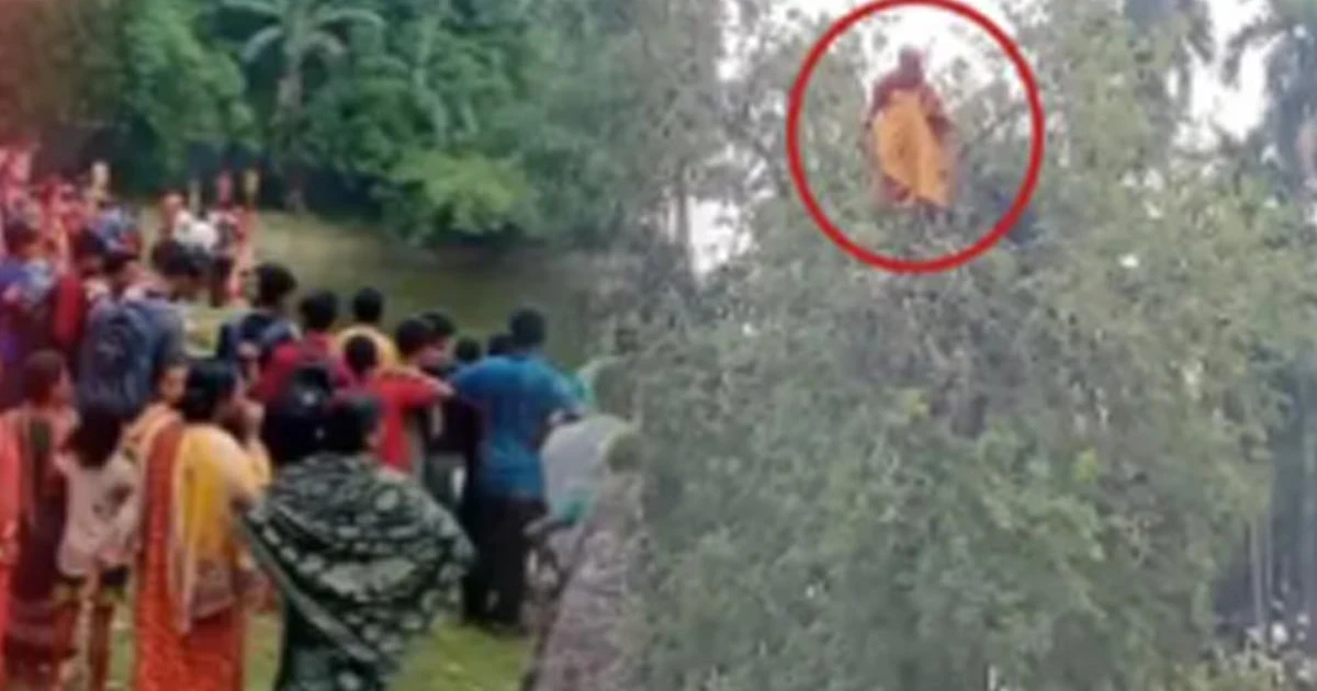 কুড়িগ্রামে নিখোঁজ গৃহবধূ, তেঁতুল গাছের মগডাল থেকে উদ্ধার