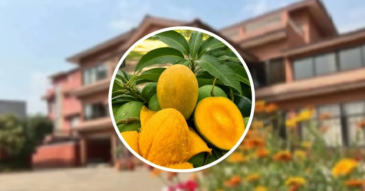 নেপালকে বন্ধুত্বের যে বার্তা দিল বাংলাদেশ